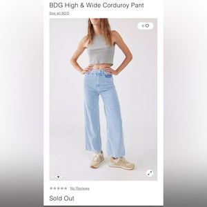 Urban Outfitters BDG Blue Corduroy Pants 31